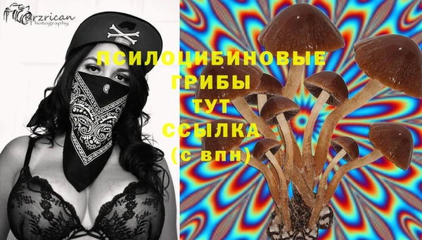 МДПВ Абинск
