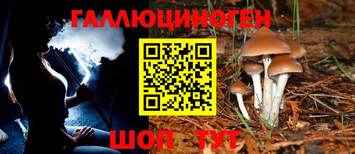 Галлюциногенные грибы GOLDEN TEACHER Новочеркасск