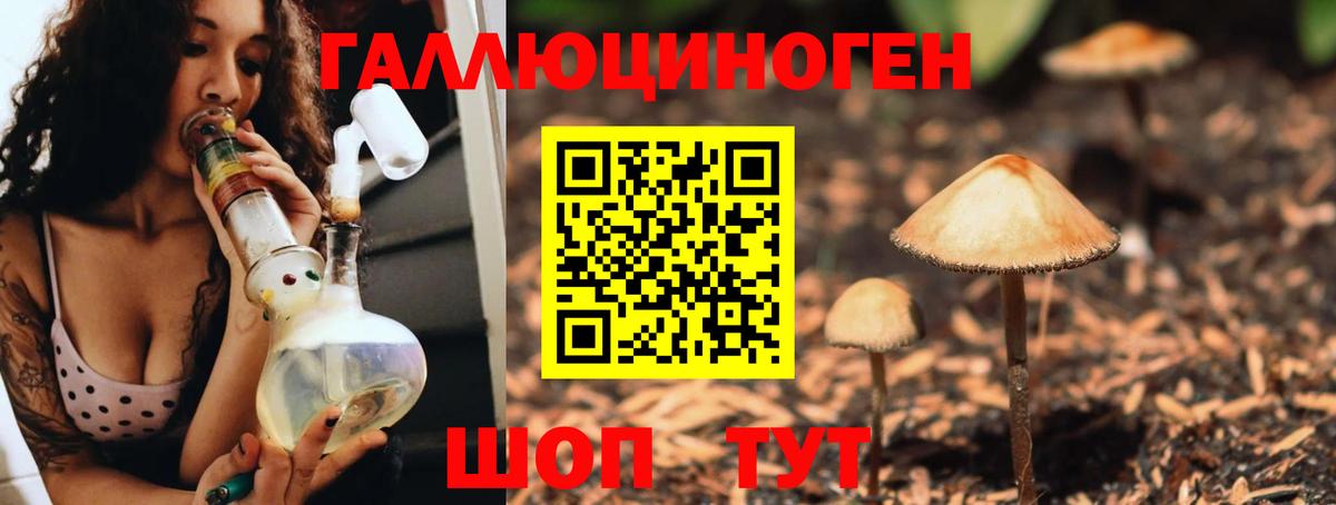Галлюциногенные грибы Cubensis  Галлюциногенные грибы Psilocybe  Новочеркасск  Вход с VPN 